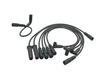 Delphi W0133-1614435 Ignition Wire Set (W0133-1614435)