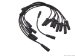 Delphi Spark Plug Wire Set (W0133-1609687_DEL)