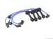 NGK Spark Plug Wire Set (W0133-1747064_NGK)