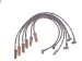 Prestolite 116030 ProConnect Black Professional O.E Grade Ignition Wire Set (116030, PRP116030)