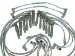 Prestolite 146020 ProConnect Black Professional O.E Grade Ignition Wire Set (146020, PRP146020)