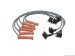 Prestolite Spark Plug Wire Set (W0133-1622816_PST, W01331622816PST)