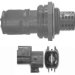 Standard Motor Products SG770 OXY SENS (SG770)
