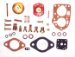Carburetor Repair Kit (1770501, O321770501)