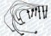 ACDelco 16-826P Spark Plug Wire Kit (16-826P, 16826P)