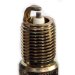 2406 Champion Premium Gold Spark Plug (2406)
