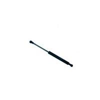 Sachs SG466001 Support Lifts (SG466001)