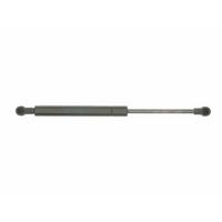 Sachs SG466004 Support Lifts (SG466004)