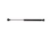 StrongArm 4956  Chrysler LHS Trunk Lift Support 1999-01, Pack of 1 (4956)