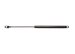 StrongArm 4436  Chrysler LeBaron GTS Hatch Lift Support 1985-89, Pack of 1 (4436)