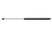 StrongArm 4510  Nissan NX Hatch Lift Support 1991-93, Pack of 1 (4510)