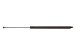 StrongArm 4049  Mercedes-Benz SL320 (R129) Trunk Lift Support 1994-97, Pack of 1 (4049)