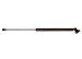 StrongArm 4362L  Toyota Land Cruiser Liftgate Lift Support (L) 1998-04, Pack of 1 (4362L)
