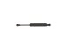 StrongArm 4116  BMW X5 Hood Lift Support 2000-04, Pack of 1 (4116)