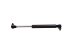 StrongArm 4290  Dodge Durango Liftgate Lift Support 1998-03, Pack of 1 (4290)
