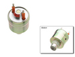 Delphi W0133-1606096 Fuel Injector (DEL1606096, W0133-1606096, C1000-147931)