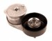 Goodyear 49290 Tensioner and Idler Pulley (49290)