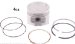 Beck Arnley  012-5203  Piston Assembly Standard, Pack of 4 (125203, 012-5203, 0125203)