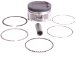 Beck Arnley  012-5360  Piston Assembly Standard, Pack of 6 (0125360, 125360, 012-5360)