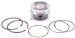 Beck Arnley  012-5254  Piston Assembly Standard, Pack of 4 (0125254, 125254, 012-5254)
