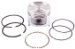 Beck Arnley  012-0931  Piston Assembly Standard, Pack of 6 (120931, 012-0931, 0120931)