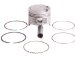 Beck Arnley  012-5361  Piston Assembly Standard, Pack of 4 (125361, 012-5361, 0125361)