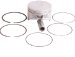 Beck Arnley  012-5334  Piston Assembly Standard, Pack of 6 (012-5334, 125334, 0125334)
