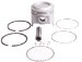 Beck Arnley  012-4942  Piston Assembly Standard, Pack of 4 (012-4942, 0124942, 124942)