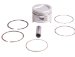 Beck Arnley  012-5197  Piston Assembly Standard, Pack of 4 (125197, 0125197, 012-5197)