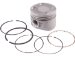 Beck Arnley  012-5308  Piston Assembly Standard, Pack of 4 (0125308, 125308, 012-5308)