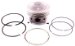 Beck Arnley  012-5268  Piston Assembly Standard, Pack of 4 (012-5268, 125268, 0125268)