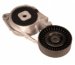 Goodyear 49217 Tensioner and Idler Pulley (49217)