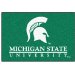 FANMATS 4535 Michigan State University Starter Mat (4535, FAN4535)