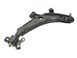 Hyundai CTR Suspension W0133-1611784 Control Arm (W0133-1611784, CTR1611784, L2000-112369)