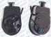 ACDelco 36-517098 Power Steering Pump (36-517098, 36517098, AC36517098)