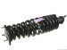 OES Genuine Shock Absorber for select Mercedes-Benz models (W01331718084OES)