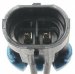 Standard Motor Products Pigtail/Socket (S811, S-811)